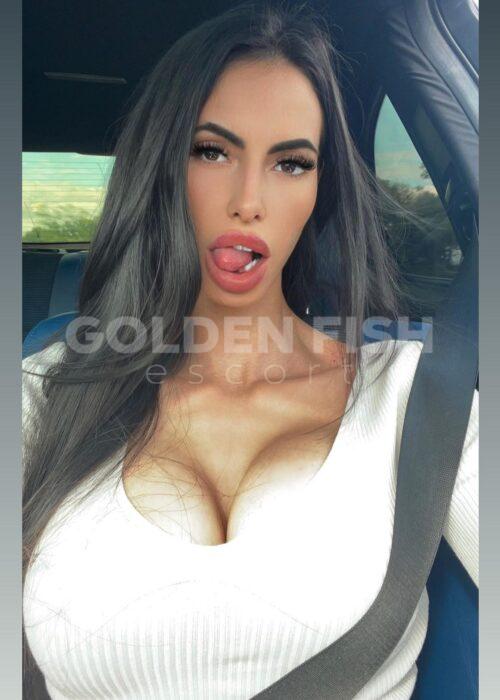 Escort agency Moscow